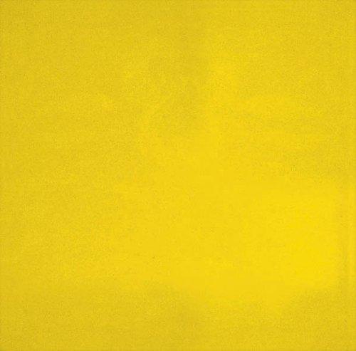 14Mil Yellow Weld Screen (6X8)