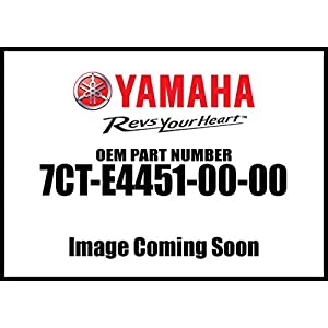 Yamaha 7CT-E4451-00-00 Element, Air Cleaner; 7CTE44510000